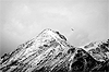 Immagine dell' Aquila Reale in volo sul Monte Pasquale